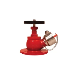 ultra fire ss single way landing valve hydrant.jpg
